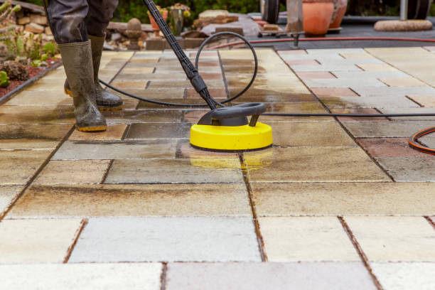 Best Solar Panel Cleaning  in Elma Center, NY